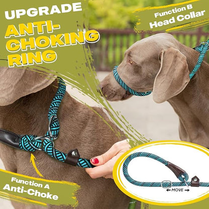 Fida Durable Slip Lead Dog Leash, 6 FT x 3/8" Heavy Duty Comfortable Strong Rope Slip Lead for Small Dogs and Puppies, No Pull Pet Training Lead with Highly Reflective(3/8", Blue)