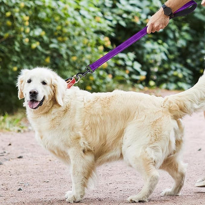 Dog Leash, Short Dog Leash, Leashes for Large Breed Dogs,Traffic Padded Handle- Reflective Training Lead, Perfect for Medium to Large Dogs(24 Inch, Purple)