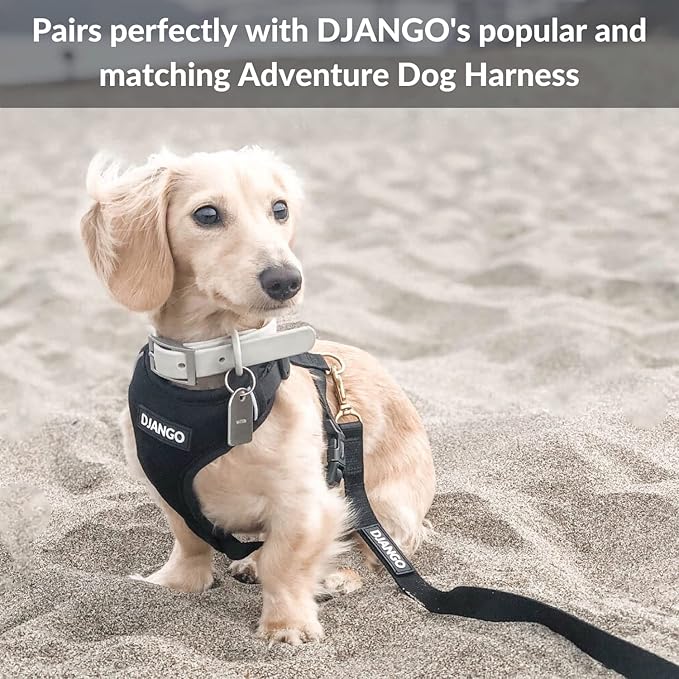 DJANGO Adventure Dog Leash – Strong, Comfortable, and Stylish Dog Leash with Solid Brass Hardware and Padded Handle - Designed for Outdoor Adventures and Everyday Use (Black)
