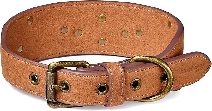 Blueberry Pet Premium Embossed Silver-Powered Freshness Microfiber Suede Leather Dog Collar in Saddle Brown