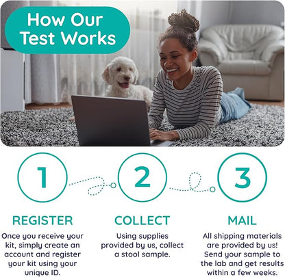 Innovative Pet Lab Comprehensive Gut Health Check for Dogs - at-Home Stool Test for Digestion, Immune & Leaky Gut Symptoms Like Diarrhea, Allergies, Itchy Skin, Bad Breath - Easy Non-Invasive Testing