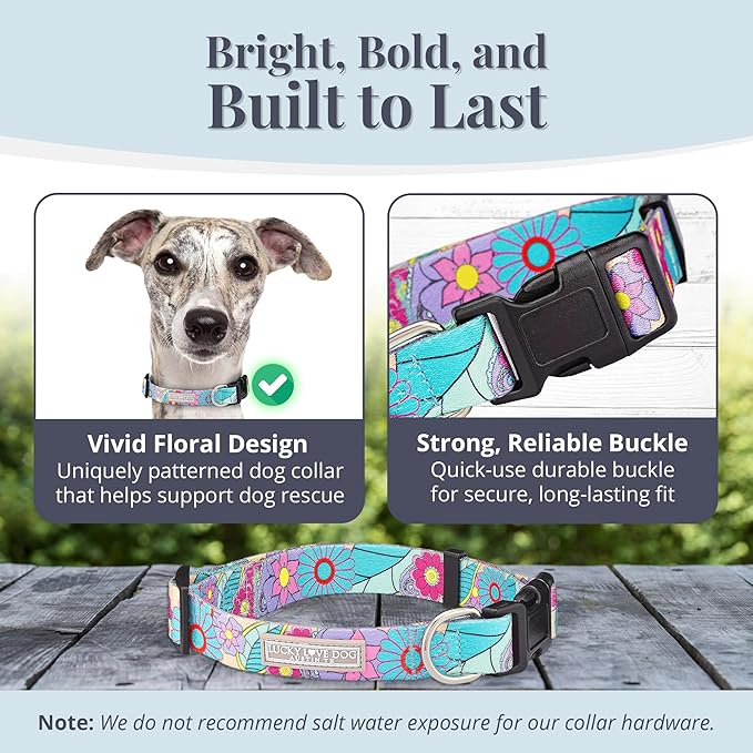 Lucky Love Dog Collars, Vivid Flower Pattern Dog Collars for Medium Female Dogs, Spring & Summer Floral Themed Print, Caroline, Medium
