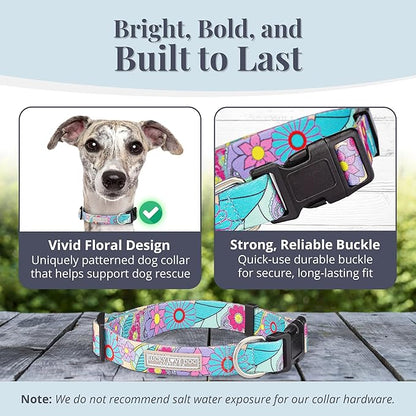 Lucky Love Dog Collars, Vivid Flower Pattern Dog Collars for Medium Female Dogs, Spring & Summer Floral Themed Print, Caroline, Medium