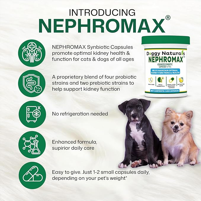 NEPHROMAX™ Kidney Support Supplement Synbiotic (360 Caps)