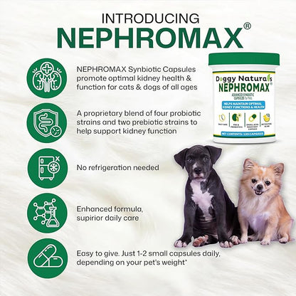 NEPHROMAX™ Kidney Support Supplement Synbiotic (360 Caps)