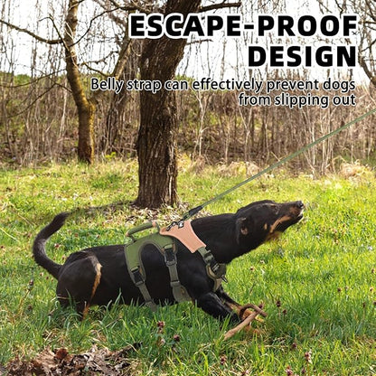 PUPTECK Escape Proof Dog Harness and Leash Set Upgraded No Pull Reflective Dog Vest with Lift Handle, Easy Control Pet Harness for Medium Large Dogs Training Walking Running, Green, M