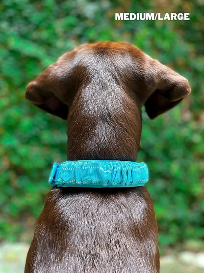 Heavy Duty Dog Collar With Handle | Ballistic Nylon Heavy Duty Collar | Padded Reflective Dog Collar With Adjustable Stainless Steel Hardware | Convenient Sizing for All Breeds