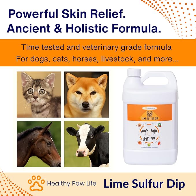 Healthy Paw Life - Lime Sulfur Dip - Pet Care for Itchy and Dry Skin - Xtra Strength Formula - Safe Solution for Dog, Cat, Puppy, Kitten, Horse (1 Gallon)
