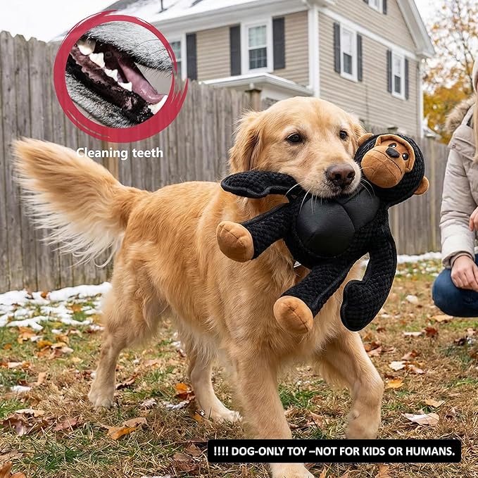 Plush Stuffed Squeaky Dog Toys, Dog Toy Medium、Large Breed, Dog Chew Toys for Non-Aggressive Dogs,Chew Dog Toys to Keep Them Busy,Solomon，11" x 11" Gorilla
