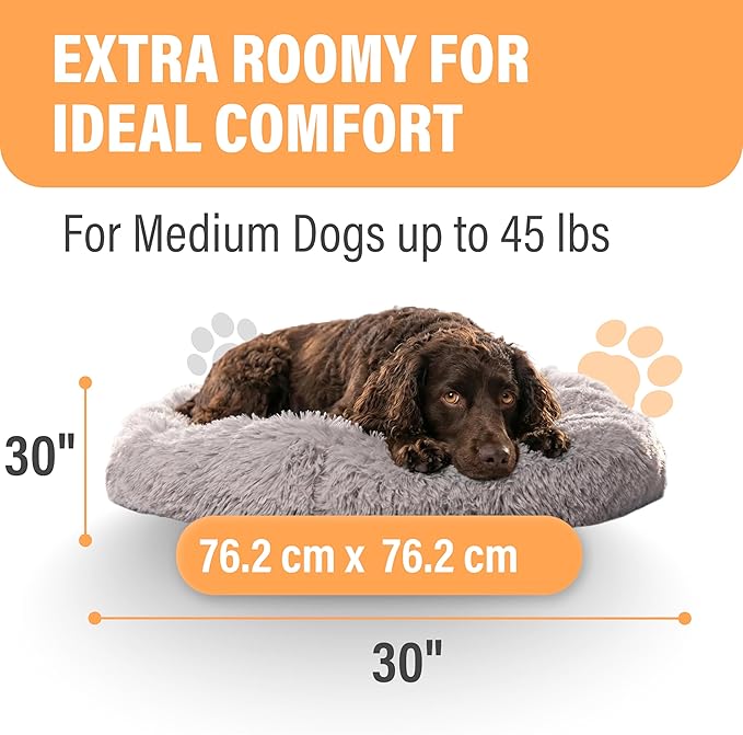 Active Pets Medium Dog Bed, Calming Orthopedic Pet Bedding for Anxiety Relief, Joint Support & Comfort, Washable Dog Furniture, Med 45lbs, Light Grey