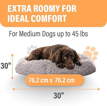 Active Pets Medium Dog Bed, Calming Orthopedic Pet Bedding for Anxiety Relief, Joint Support & Comfort, Washable Dog Furniture, Med 45lbs, Light Grey