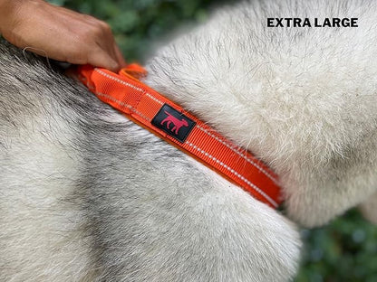 Tuff Pupper Heavy Duty Dog Collar with Handle | Ballistic Nylon Heavy Duty Collar | Padded Reflective Dog Collar with Adjustable Stainless Steel Hardware | Convenient Sizing for All Breeds