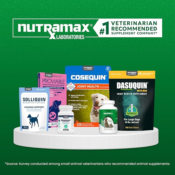 Nutramax Laboratories Denamarin Liver Health Supplement for Large Dogs - With S-Adenosylmethionine (SAMe) and Silybin, 30 Tablets(Pack of 1)