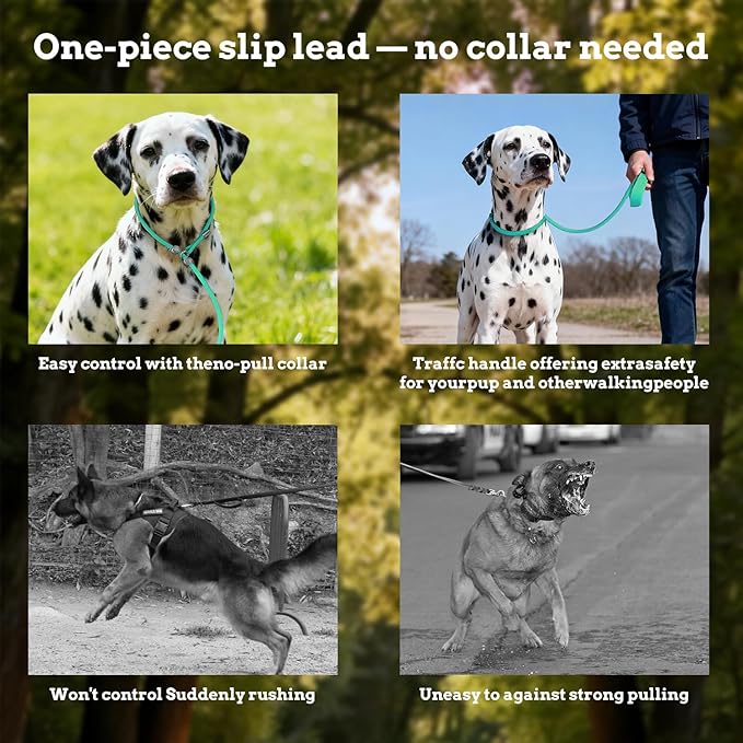 EVERKING Dog Slip Lead Dog Training Leash, No-Pull Slip Leash and Collar,Nylon Material Heavy-Duty and Durable,with Comfortable Padded Handle,Suitable for All Dogs (Green(4.9-5.9FT-Metal Buckle))