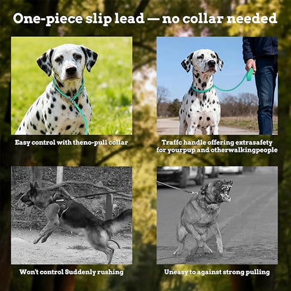 EVERKING Dog Slip Lead Dog Training Leash, No-Pull Slip Leash and Collar,Nylon Material Heavy-Duty and Durable,with Comfortable Padded Handle,Suitable for All Dogs (Green(4.9-5.9FT-Metal Buckle))