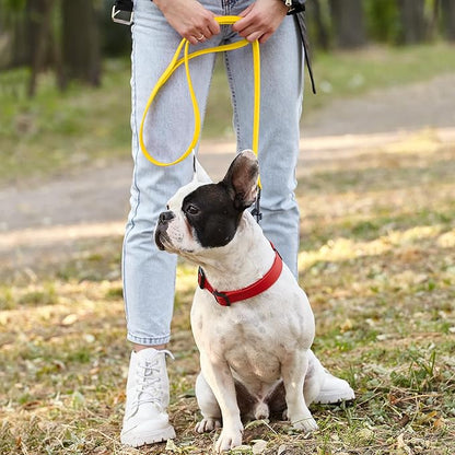 Dogline Biothane Waterproof Dog Leash Strong Coated Nylon Webbing with Black Hardware Odor-Proof Easy to Clean High Performance for Small or Large Dogs Made in USA 2 ft Lead, Lemon Yellow
