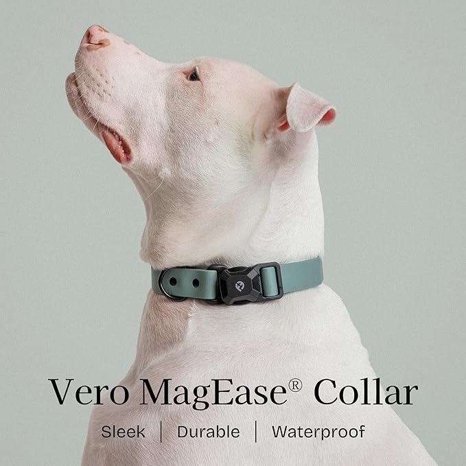 2026 New Edition, Fei & Eve PVC MagEase Dog Collar - Patented Magnetic Buckles | Fur-Safe | 450LB Escape-Proof | Adjustable Fit | Small (Glacier Green)