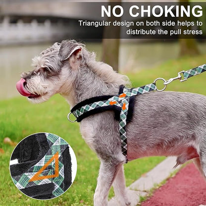 BEAUTYZOO No Pull Small Dog Harness and Leash Set, Soft Puppy Vest Harness with Handle Escape Proof & Easy Walk, Lightweight Dog Winter Harness Chest Adjustable for Girl Boy Dogs Max 7 lbs, Green XXS