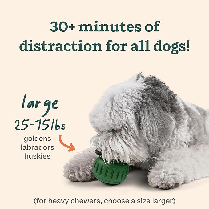 WOOF Pupsicle and Treat Tray - Long-Lasting Interactive Dog Toys and Silicone Dog Treat Mold - Keep Your Pup Busy - Easy to Clean - Toys for Medium and Large Dogs 25-75 lbs