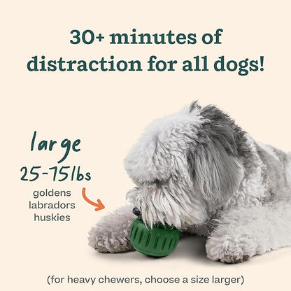 WOOF Pupsicle and Treat Tray - Long-Lasting Interactive Dog Toys and Silicone Dog Treat Mold - Keep Your Pup Busy - Easy to Clean - Toys for Medium and Large Dogs 25-75 lbs