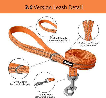 AIITLE Dog Harness, No-Pull Cat Harness with a Leash, Adjustable Reflective Dog Vest, Cat Harness Escape Proof, Outdoor Walking, Running,Training for Extra Small Dogs and House Cats Orange XXXS