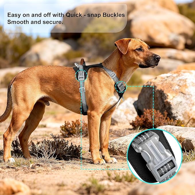 ApakBak No Pull Dog Harness – Adjustable Reflective Nylon Vest for Small Medium Large Dogs, Escape Proof Training Harness with Leather Control Handle, Lightweight Aluminum Hardware (Black, XL)