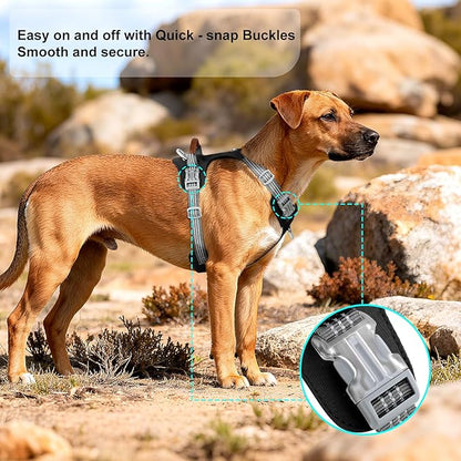 ApakBak No Pull Dog Harness – Adjustable Reflective Nylon Vest for Small Medium Large Dogs, Escape Proof Training Harness with Leather Control Handle, Lightweight Aluminum Hardware (Black, XL)