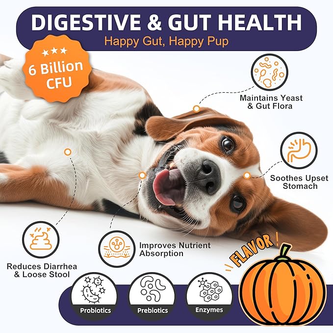 NATURE TARGET Probiotics for Dogs, 6 Billion Dog Probiotics with Prebiotics & Enzymes for Digestive & Gut Health, Pumpkin, Omega-3 & Multivitamins for Itchy Skin, Allergies, 120 Dogs Probiotics Chews