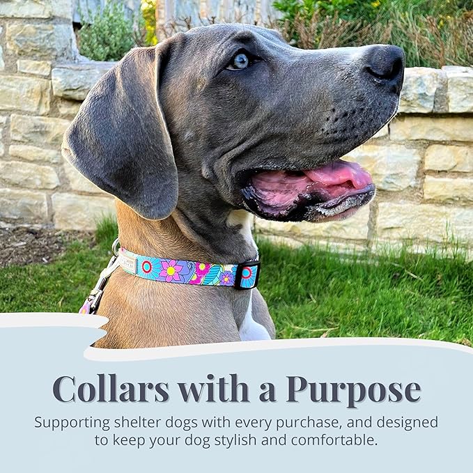 Lucky Love Dog Collars, Vivid Flower Pattern Dog Collars for Medium Female Dogs, Spring & Summer Floral Themed Print, Caroline, Medium