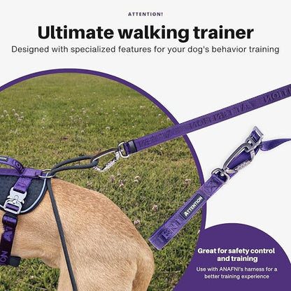 Heavy-Duty Tactical Dog Leash for Medium & Large Dogs, 6-in-1 Hands-Free Design for Training, 4–7.5FT Waist-Worn Leash for Walking (Onyx Black)