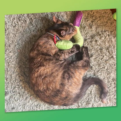 KITTY KA-ZOOM ZOOMIE Snake Kicker - Refillable Catnip Toy + Catnip | High Potency Hand Harvested Fresh | Soft Plush for Engaging Play