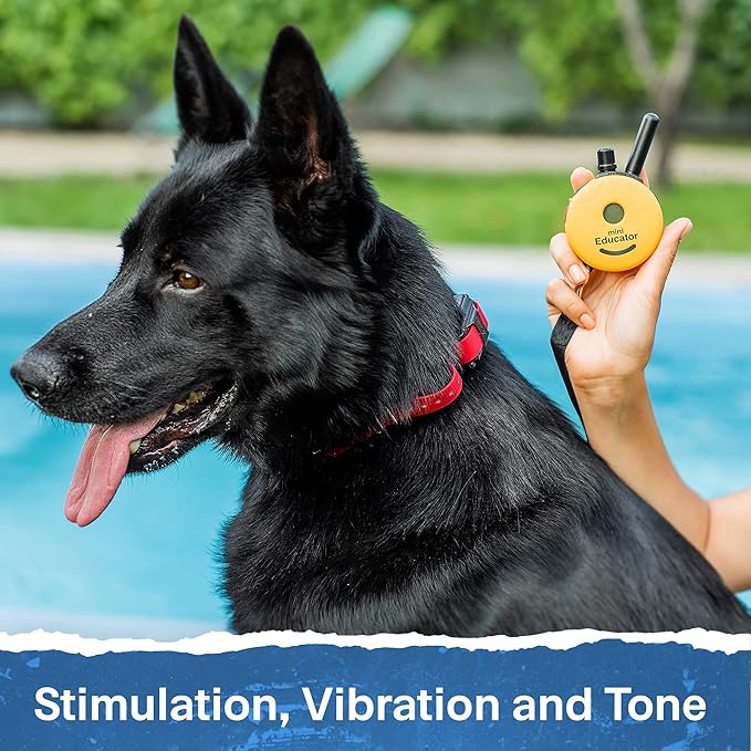 Educator ET-300 Mini E Collar for Dog Training with Remote - 1/2 Mile Range, Waterproof, 100 Blunt Stimulation Levels, Tone or Vibration Mode, Night Light Tracking for Small, Medium & Large Dogs
