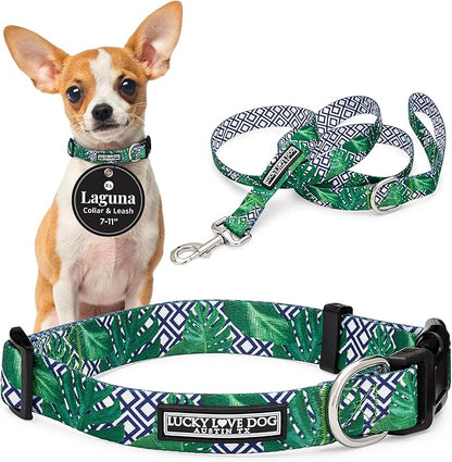 Lucky Love Dog Collar and Leash Set, Beautiful & Vivid Patterns, Easy On & Off Clasp Accessory (Blue Laguna, XS Combo)