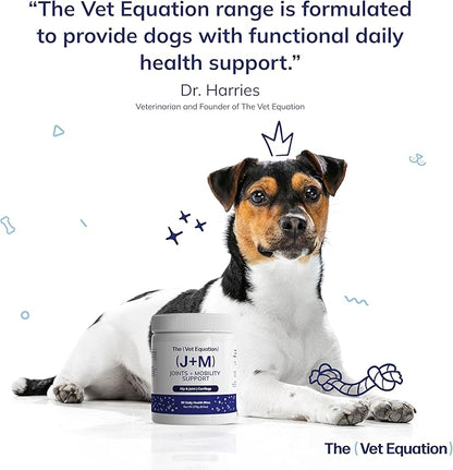 Joints & Mobility Support for Dogs – Duck-Flavored, 90 Chews – with Glucosamine, Chondroitin & Hyaluronic Acid – Supports Joint Health, Cartilage & Flexibility for Active Mobility