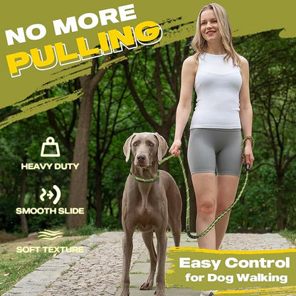 Fida Durable Slip Lead Dog Leash Bulk Pack of 5, Heavy Duty 1/2" x 6 FT Comfortable Strong Rope Slip Lead for Large, Medium & Small Dogs No Pulling Pet Training Leash with Highly Reflective (Mixed)
