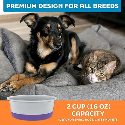 Master Pet Supply Stainless Steel Dog Bowls Set of 2 with Extra Thick Silicone Base - 2 Cup (16 oz) Plum Crazy, Non-Slip, Dishwasher Safe Metal Bowls, Pet Dog Food Bowl for Dogs, Cats, Anti Rust