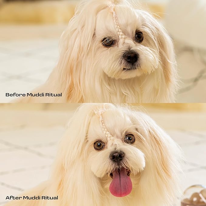 Dog Rinse-Free Shampoo & Conditioner – Dry Shampoo Towel Cleanse for Sensitive Skin, Stress & Itch Relief Gentle Leave-in Serum – 98.65% Naturally Derived, Hydrate & Deodorize – 8 x 10ml