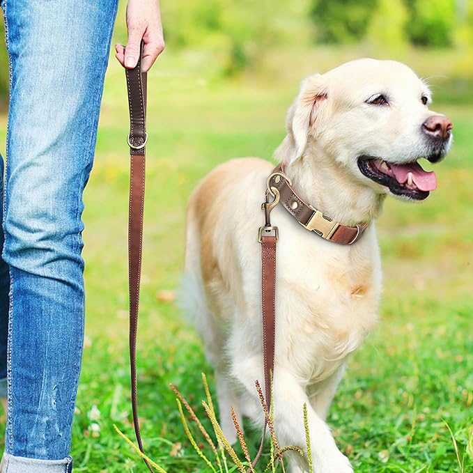 Didog PU Leather Dog Leash for Small Dogs 4.5ft, Soft Padded Handle Dog Leashes for Medium Size, Walking and Training Leashes Faux Leather for Large Pet,Brown