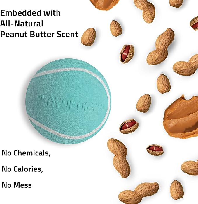 Playology Dog Toys | Squeaky Chew Ball - Bouncy Durable Floating Fetch Ball for Dogs, Value 2-Pack | Medium Peanut Butter Scented Toy - Easy to Clean and Made from Non Toxic Materials