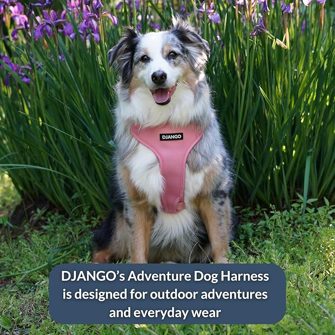 DJANGO Adventure Dog Harness - Stylish, and Durable Small Dog Harness for Outdoor Adventures and Everyday Wear - Quartz Pink Neoprene Adjustable Harness for Dogs with Reflective Piping, Brass D-Ring