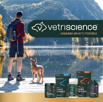 VetriScience Calm & Confident Chews, Composure Clinically Tested Calming and Anxiety Supplement for Dogs, Reduce Stress and Fear, Ideal for Thunderstorms, Fireworks and Travel, Chicken, 60 Count