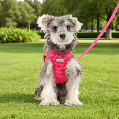 Bolux Dog Harness Small Sized and Leash Set, Step in Soft Light Puppy Vest, Breathable Mesh Pet Harness, Reflective for Safe Easy Walking.