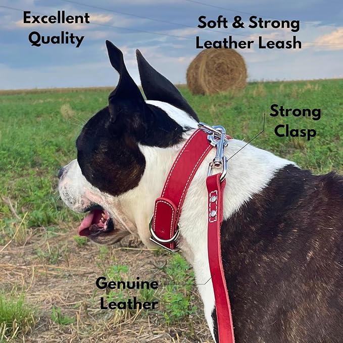 Leather Dog Leash 6 ft x 3/4 inch - Soft, Strong, Heavy Duty for Large & Medium Breeds - Dog Lead for Walking & Training (Red, L - 6 ft x 3/4 inch)