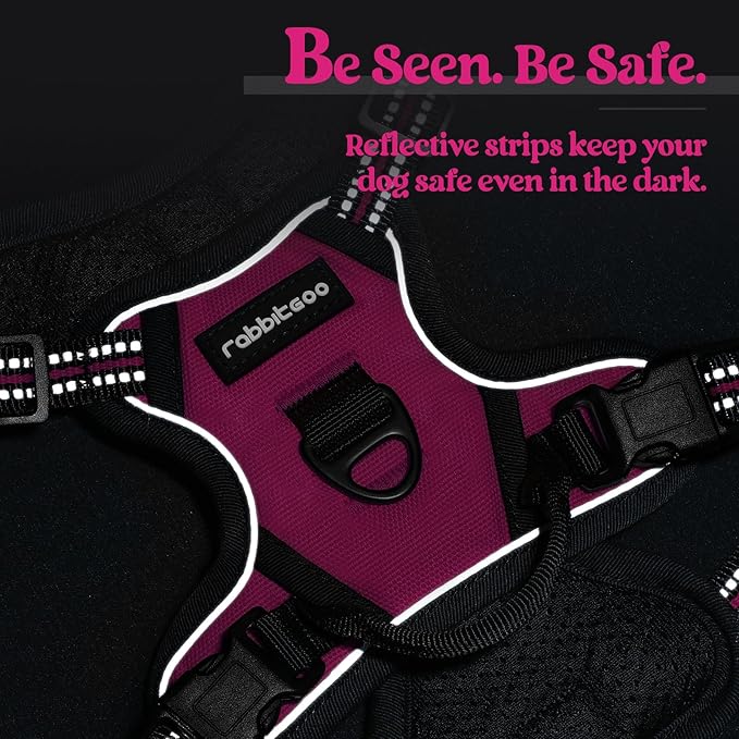 rabbitgoo Dog Harness No Pull with 2 Leash Clips, Adjustable Soft Padded, Reflective Oxford No Choke Pet Vest with Easy Control Handle for Puppy, Hot Pink, XS