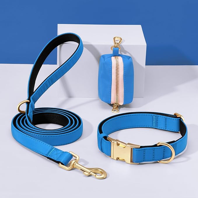 Didog Soft Padded Dog Collars for Medium Dogs, Colorful and Durable Dog Collar with Quick Release Buckle, Light and Breathable for Daily Walking, Blue, M