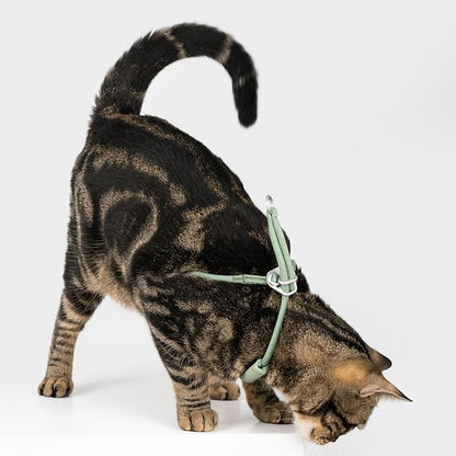 BuddyArmor Escape Proof Y Shape Cat Harness Anti-Choke Buckle Adjustable Comfortable Padded Cat Vest Harness Anti Escape Cat Rope Harness for Kitten Small Medium Large Cats (Olive, S)