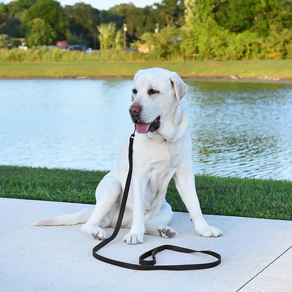 Dogline Biothane Waterproof Dog Leash Strong Coated Nylon Webbing with Black Hardware Odor-Proof Easy to Clean High Performance for Small or Large Dogs Made in USA 2 ft Lead, Black