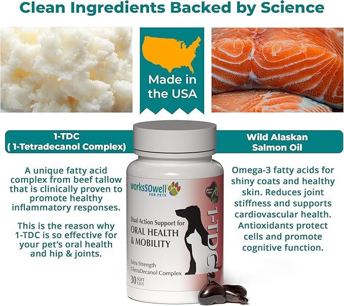 1TDC WorksSoWell Dual Action Hip and Joint Supplement for Dogs & Cats - for Large & Small Breed - Great for Oral Health, Stamina Recovery & Arthritis Pain Relief -30 ct