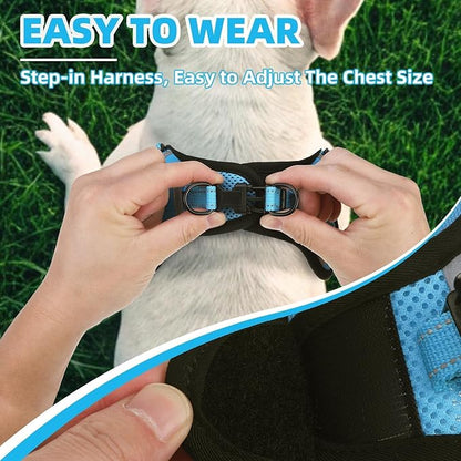 PUPTECK No Pull Dog Harness Small Sized Dog, Adjustable Reflective Escape Proof Easy Control, Comfortable Soft Padded Step in Pet Vest Harness, Blue, S
