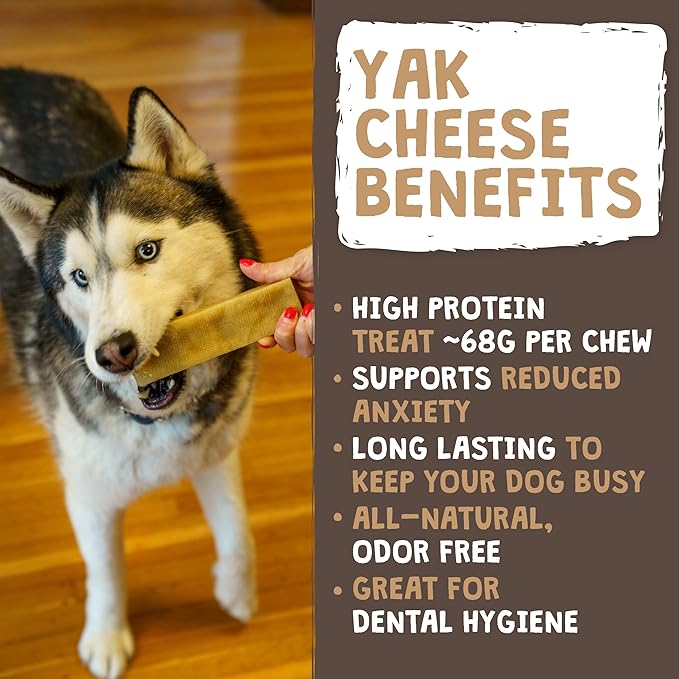 Mighty Paw Yak Cheese Chews for Dogs | All-Natural Long Lasting Pet Treats. Odorless and Great for Oral Health. Limited-Ingredient Chews for Puppies & Power-Chewers (Monster, 12 Pack)